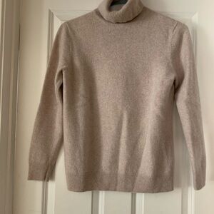 COS Cashmere Turtleneck (M)
